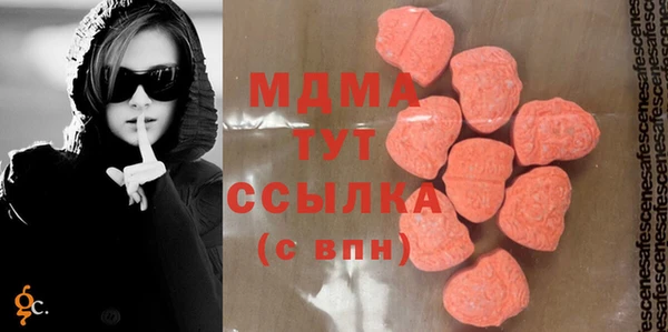 хмурый Арсеньев