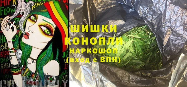 хмурый Арсеньев