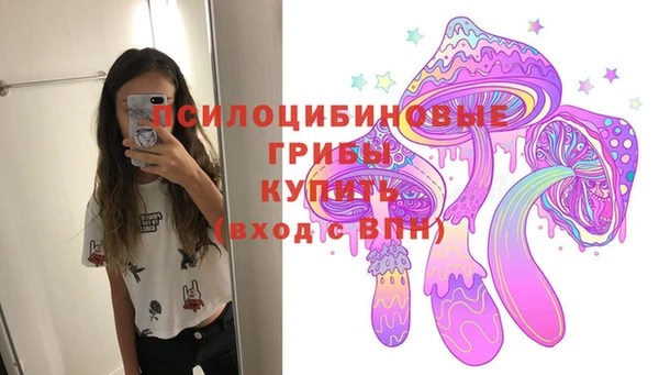 хмурый Арсеньев
