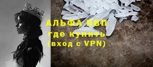 хмурый Арсеньев