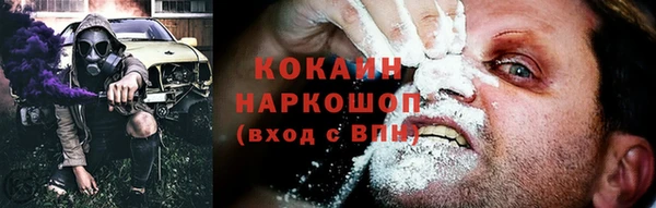 дживик Вязьма