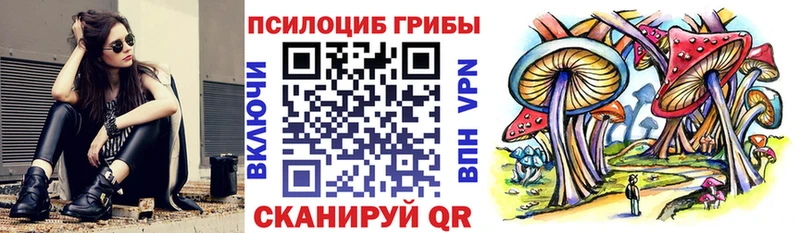 Псилоцибиновые грибы GOLDEN TEACHER  Октябрьск 
